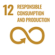 12.RESPONSIBLE CONSUMPTION AND PRODUCTION